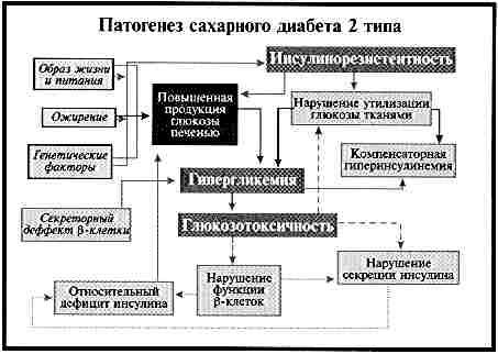 http://ogmastudents.narod.ru/Prodvinut/diabet_pat3.jpg